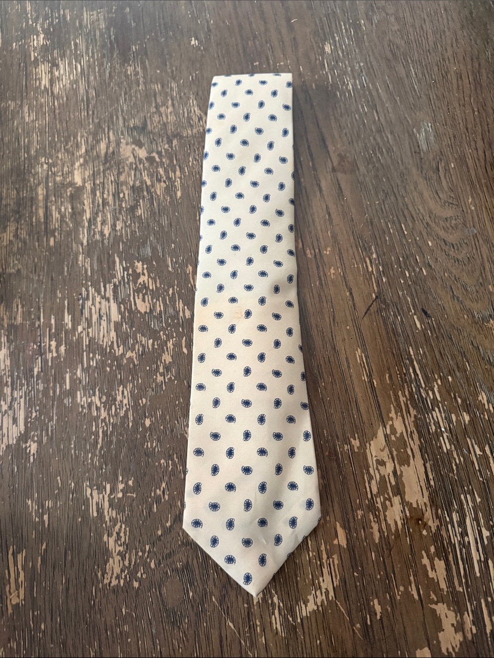 White Tie with Navy Paisley Dot Pattern - Men Accessories